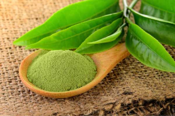 Cách làm trắng da bằng bột trà xanh