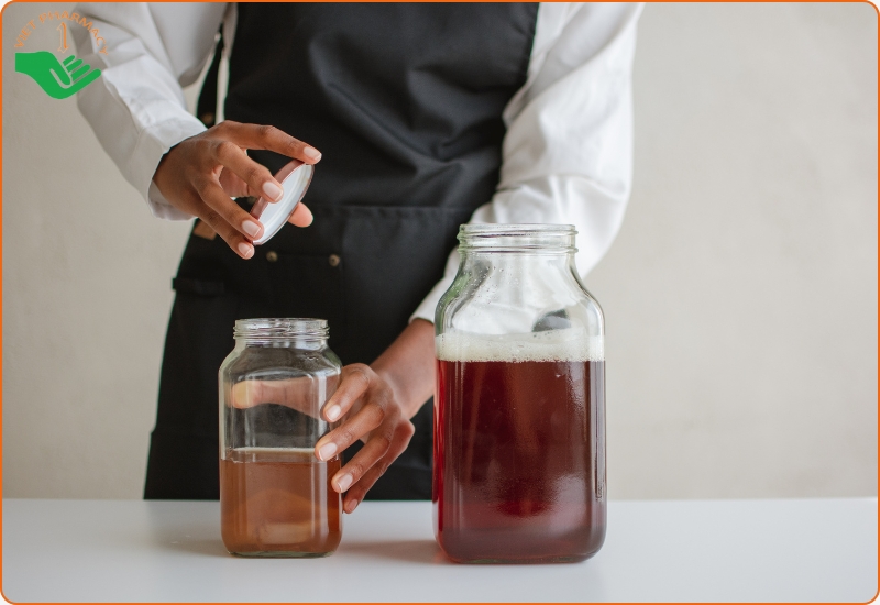 Hướng dẫn cách pha trà kombucha