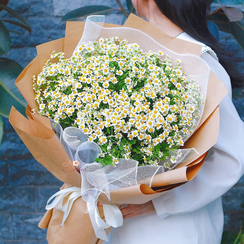 Cây cảnh nhỏ hoặc bó hoa tươi