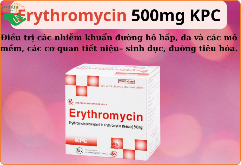 Thuốc kháng sinh KPC Erythromycin 500mg điều trị nhiễm khuẩn (10 vỉ x 10 viên)
