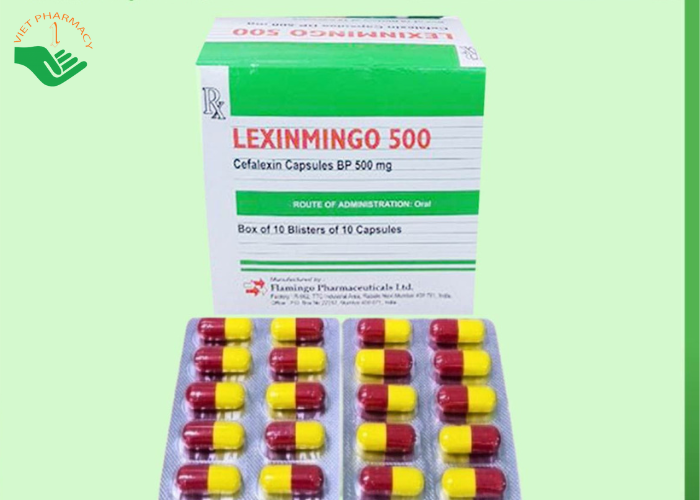 Thuốc Lexinmingo 500 điều trị nhiễm khuẩn do các vi khuẩn nhạy cảm gây ra (Hộp 10 vỉ x 10 viên)