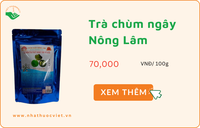 tra-chum-ngay-nong-lam Trà chùm ngây Nông Lâm
