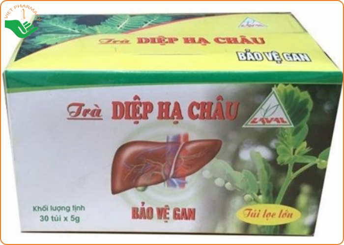 tra-diep-ha-chau-lava Trà Diệp Hạ Châu Lava