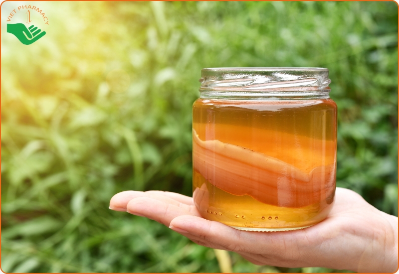 Cách uống trà Kombucha giảm cân?