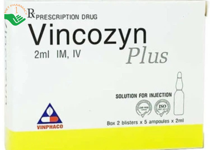 Dung dịch Vincozyn Plus Vinphaco phòng ngừa và điều trị các bệnh thiếu Vitamin B (2 vỉ x 5 ống x 2ml)