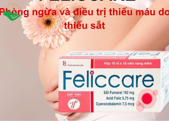 Thuốc Feliccare Trường Thọ phòng và trị các trường hợp thiếu máu (10 vỉ x 10 viên)