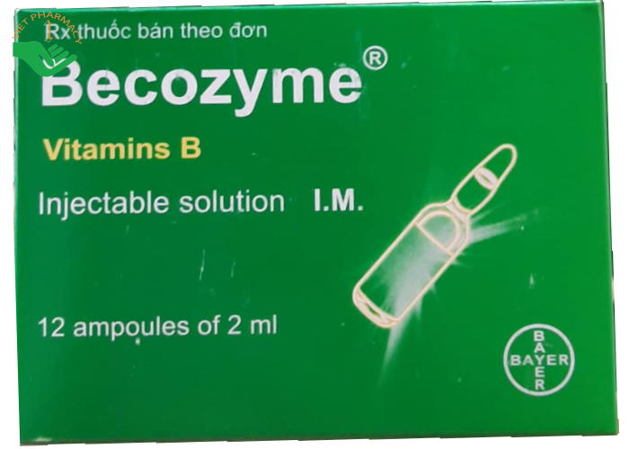 Thuốc tiêm Becozyme phòng và điều trị thiếu vitamin nhóm B (1 vỉ x 12 ống x 2ml)