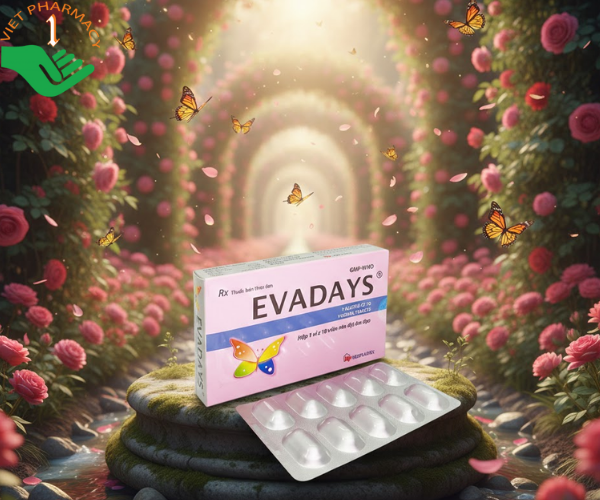 Thuốc Evadays Vaginal 500mg Mediplantex điều trị viêm âm đạo (Hộp 1 vỉ x 10 viên)