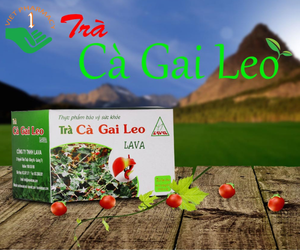 Trà túi lọc Cà Gai Leo Lava hỗ trợ bổ gan, giải độc gan, hạ men gan (Hộp 30 túi x 5g)