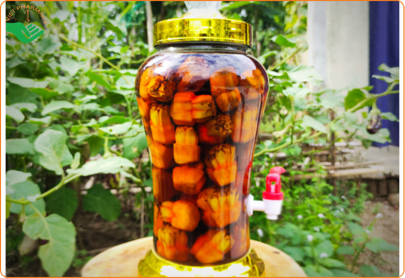 Dứa rừng ngâm rượu mang lại nhiều lợi ích với sức khoẻ