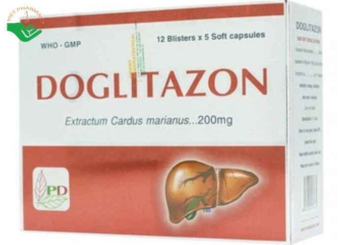Thuốc Doglitazon 200mg Phương Đông điều trị rối loạn tiêu hóa, giải độc gan (12 vỉ x 5 viên)
