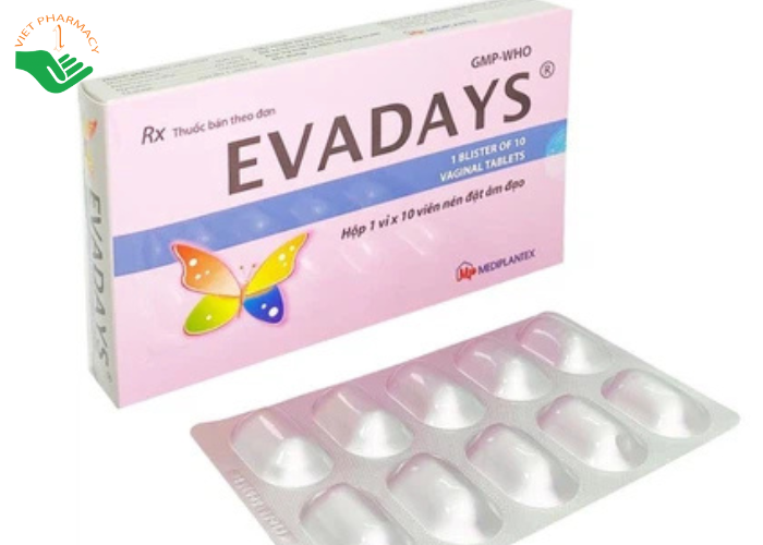 Thuốc Evadays Vaginal 500mg Mediplantex điều trị viêm âm đạo (1 vỉ x 10 viên)