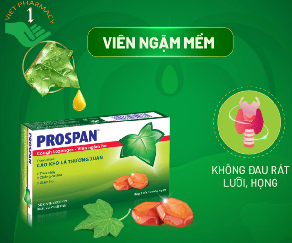 Viên ngậm ho Prospan, điều trị viêm đường hô hấp cấp có kèm theo ho (Hộp 20 viên)
