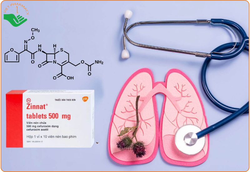 Zinnat 500mg là thuốc kê đơn, liều lượng cụ thể cần được bác sĩ chỉ định dựa trên tình trạng bệnh, mức độ nhiễm khuẩn và đối tượng sử dụng
