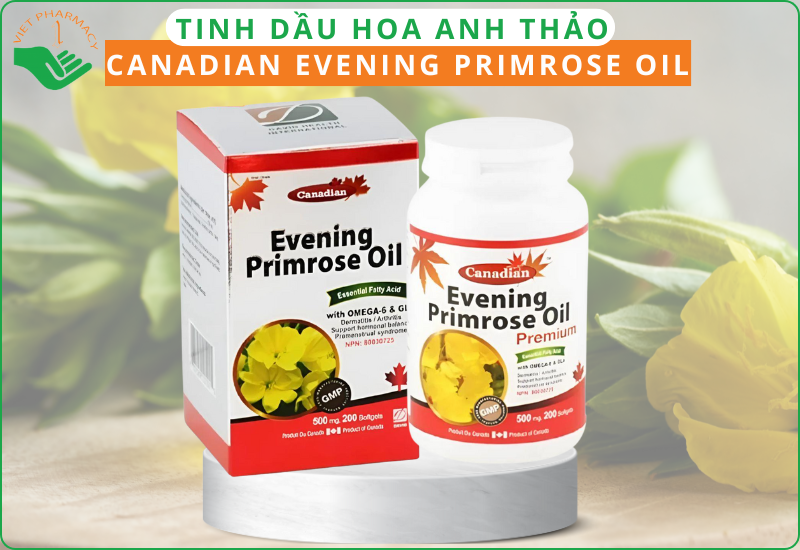 Tinh dầu hoa anh thảo Canadian Evening Primrose Oil