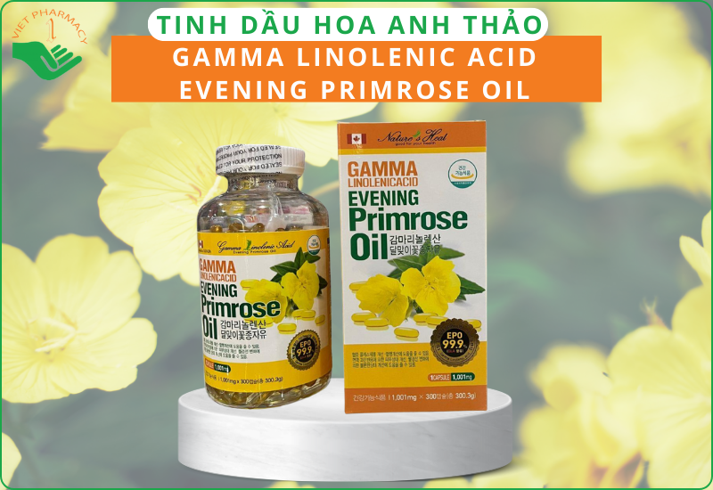 Tinh dầu hoa anh thảo Hàn Quốc Gamma Linolenic Acid Evening Primrose Oil