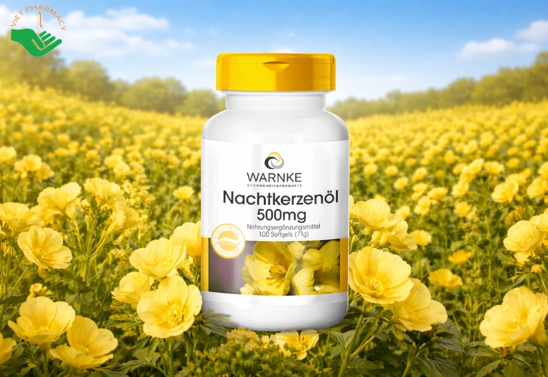 Tinh dầu hoa anh thảo Warnke Nachtkerzenol của Đức 500mg