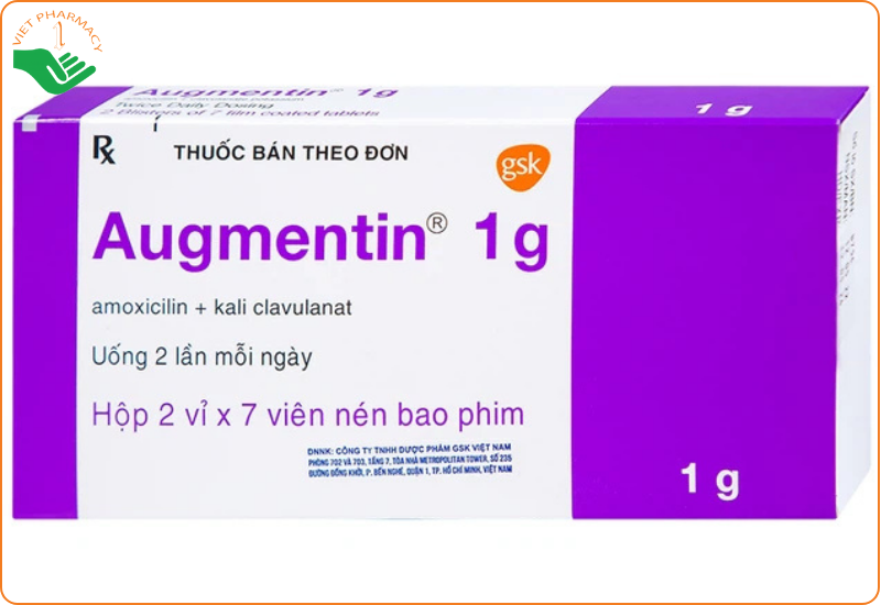 Thuốc Augmentin 1g được chỉ định trong điều trị nhiều loại nhiễm khuẩn
