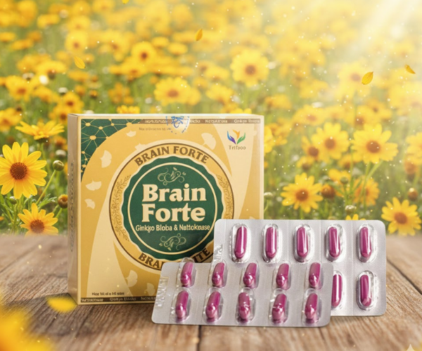 Viên uống Brain Forte GOLD hoạt huyết, tăng cường tuần hoàn máu não (Hộp 10 vỉ x 10 viên)