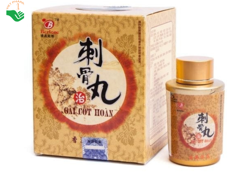 Gai Cốt Hoàn hỗ trợ điều trị phong thấp, nhức mỏi, đau lưng, nhức mỏi khớp, viêm khớp, gai cột sống (Hộp 60 viên)