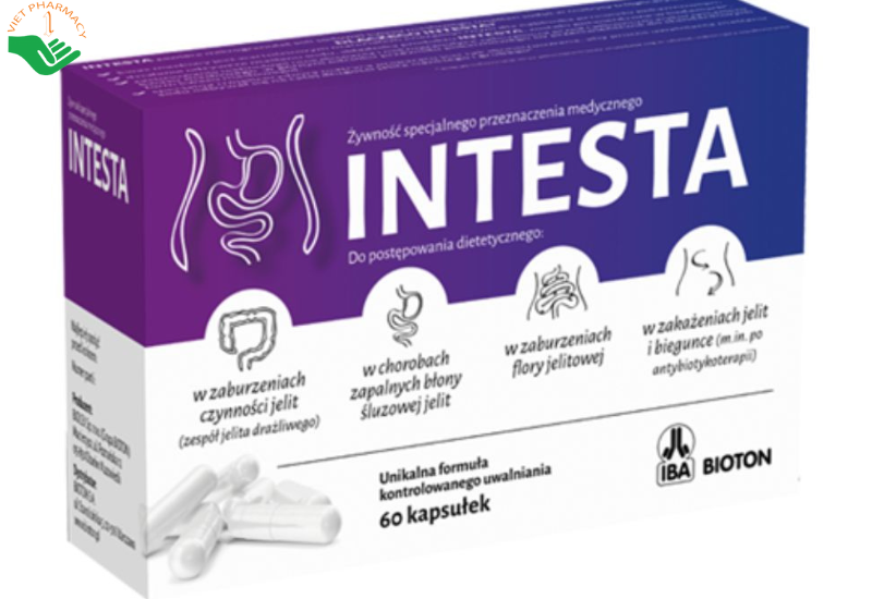 Intesta hỗ trợ điều trị viêm đại tràng và hội chứng ruột kích thích (Hộp 60 viên)