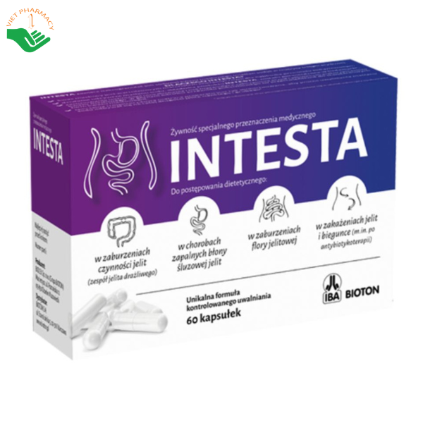 Intesta hỗ trợ điều trị viêm đại tràng và hội chứng ruột kích thích (Hộp 60 viên)