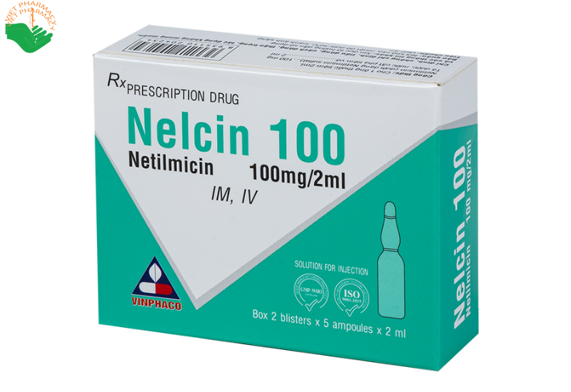 Nelcin 100mg/2ml điều trị một số bệnh nhiễm khuẩn nặng (Hộp 2 vỉ x 5 ống x 2ml)
