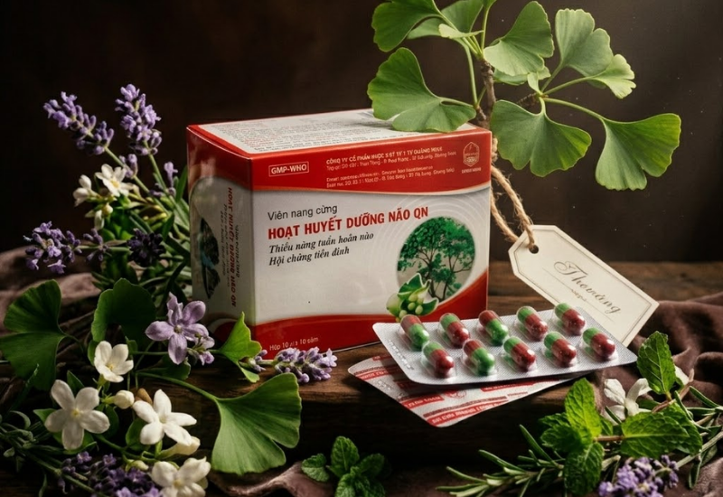 Thuốc Hoạt huyết dưỡng não QN (Hộp 100 viên)
