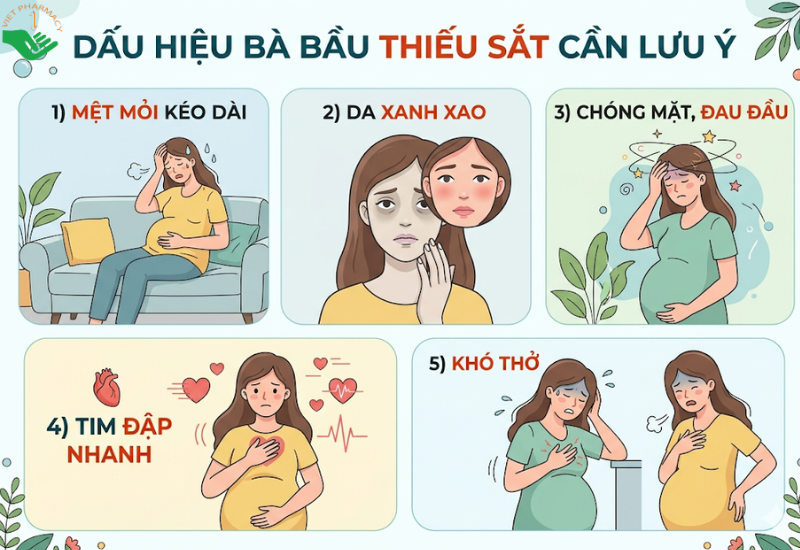 Dấu hiệu bà bầu thiếu sắt cần lưu ý