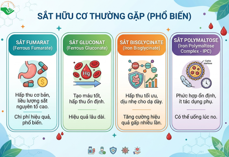 Sắt hữu cơ thường gặp