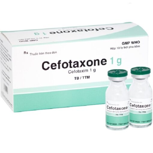 CEFOTAXONE 1G – ĐIỀU TRỊ BỆNH NHIỄM KHUẨN NẶNG VÀ NGUY KỊCH