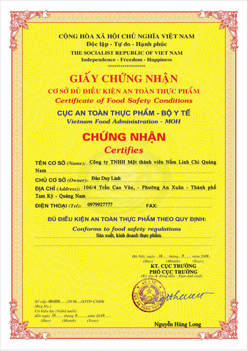 Nấm lim xanh Quảng Nam Linasa - Nguyên tai hộp 500g