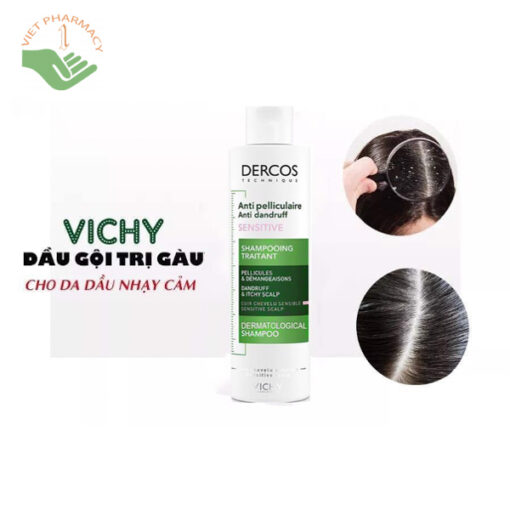 Dầu gội giúp giảm gàu dành cho da đầu dầu và ngứa Vichy Dercos Technique Anti dandruff 200ml