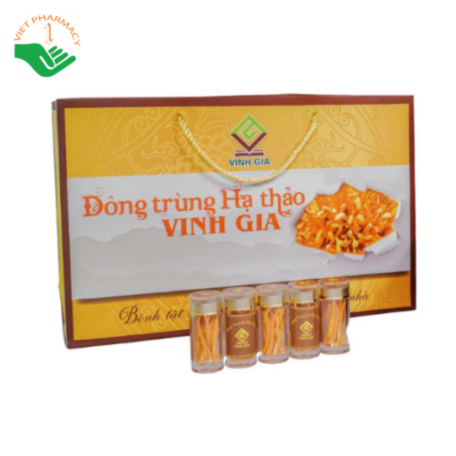 Đông trùng hạ thảo Vinh Gia (quả thể khô)