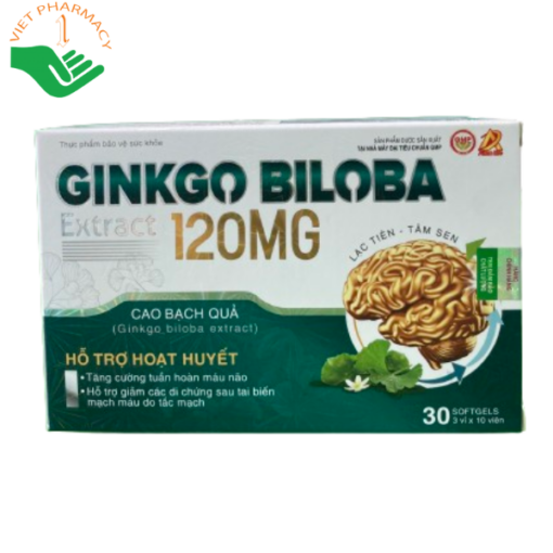 Ginkgo Biloba Extract 120mg