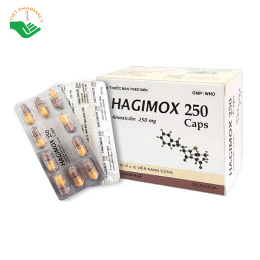 Thuốc trị nhiễm khuẩn Hagimox 250 Caps