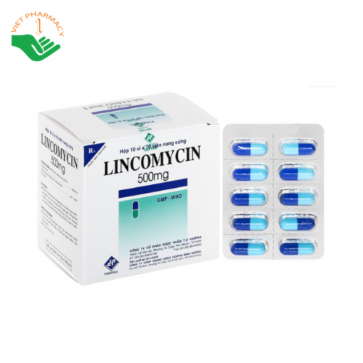 Thuốc Lincomycin - Điều trị nhiễm khuẩn nặng