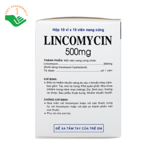 Thuốc Lincomycin - Điều trị nhiễm khuẩn nặng