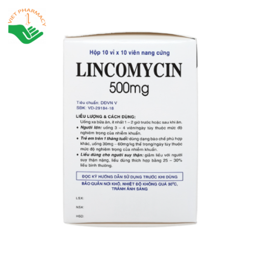 Thuốc Lincomycin - Điều trị nhiễm khuẩn nặng