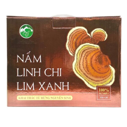 Nấm linh chi lim xanh Quảng Nam - Khai thác từ rừng nguyên sinh (Thái lát)