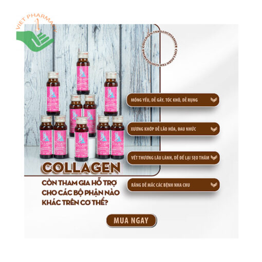 Nước uống Collagen Glucosamine