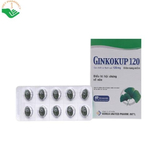 Thuốc Ginkokup 120mg