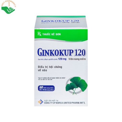 Thuốc Ginkokup 120mg