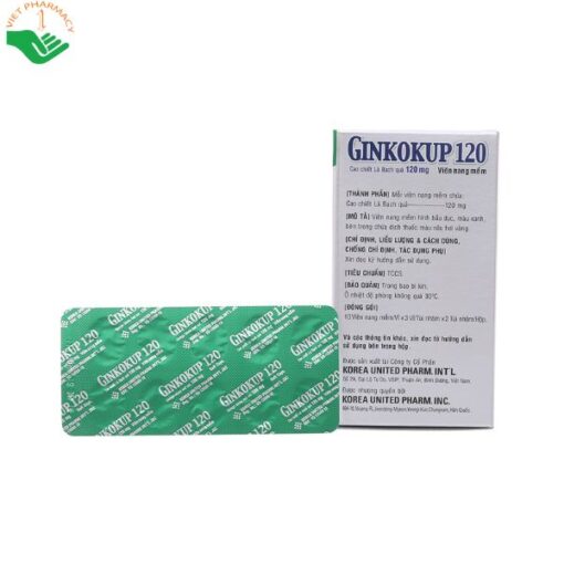 Thuốc Ginkokup 120mg