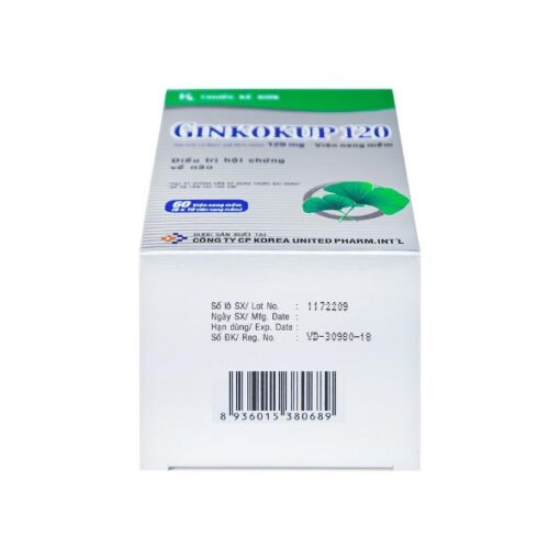 Thuốc Ginkokup 120mg