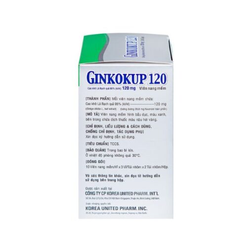 Thuốc Ginkokup 120mg