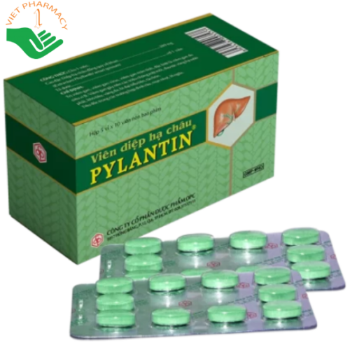 Viên diệp hạ châu PYLANTIN OPC