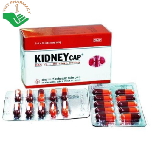 Viên uống KIDNEYCAP OPC