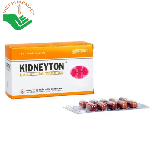 Viên uống Kidneyton OPC