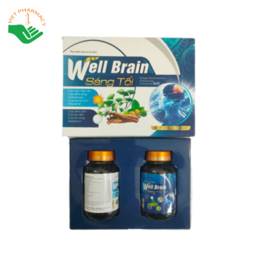 Viên uống hoạt huyết dưỡng não Well Brain